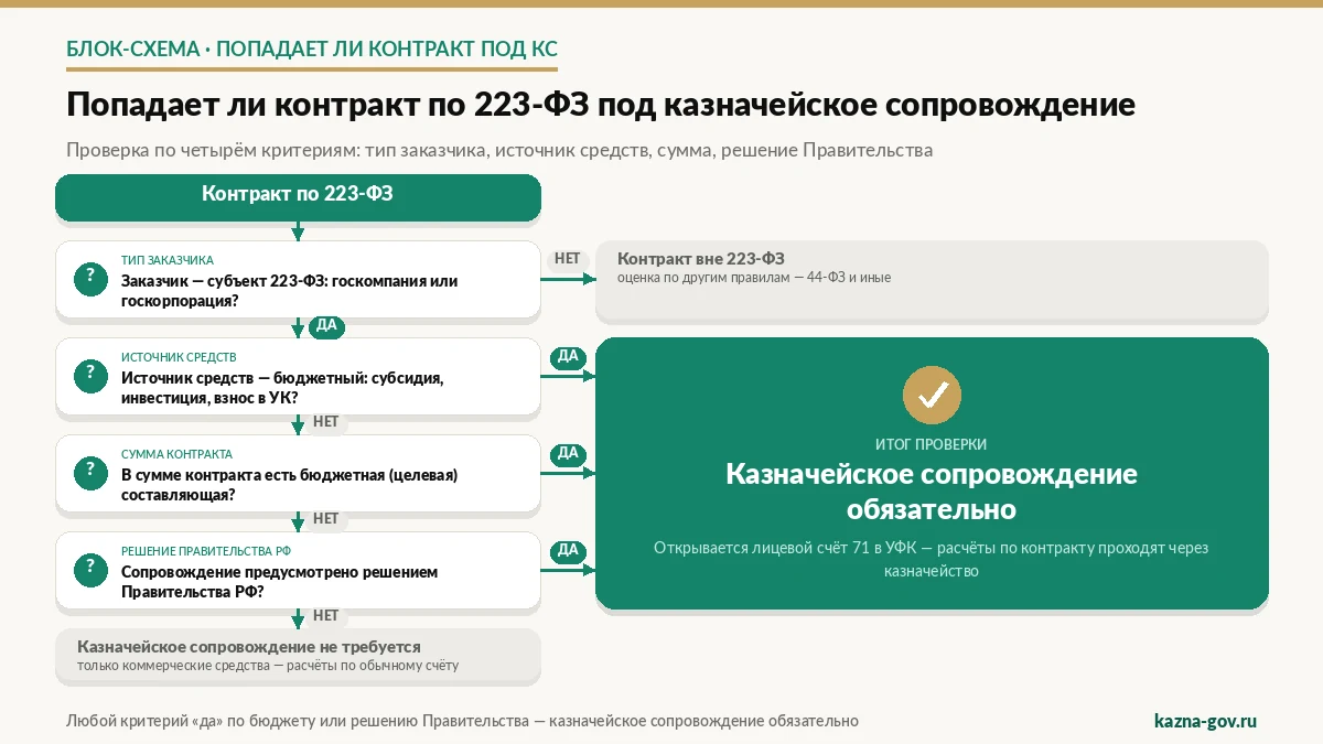 Когда контракт по 223-ФЗ попадает под казначейское сопровождение — схема проверки
