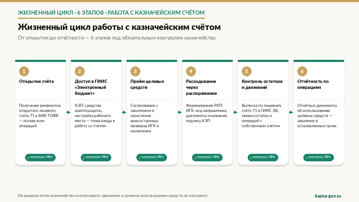 Схема: жизненный цикл работы с казначейским счётом — от первого поступления до отчётности, с точками контроля казначейства