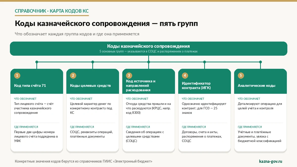 Коды казначейского сопровождения: основные виды кодов и где они применяются