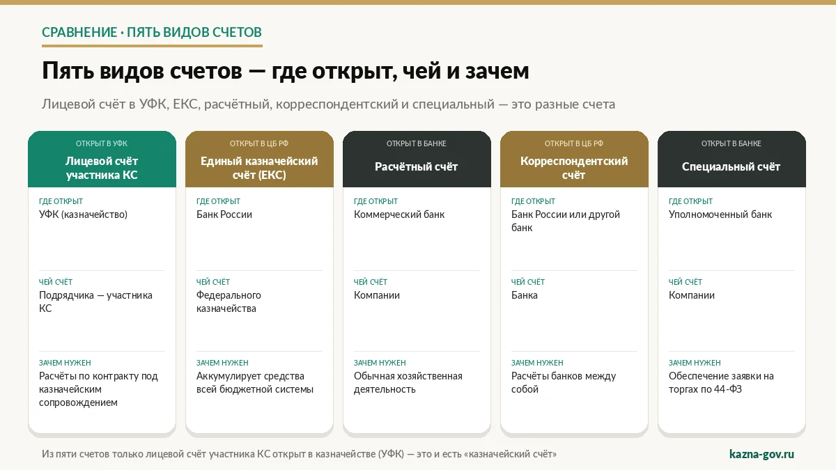 Пять видов счетов: лицевой счёт в УФК, ЕКС, расчётный, корреспондентский, специальный — где открыт, чей и зачем